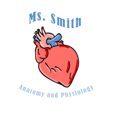 Ms. Smith